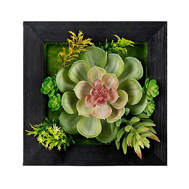 Hanging Succulent Box Wall Décor (set Of 6)