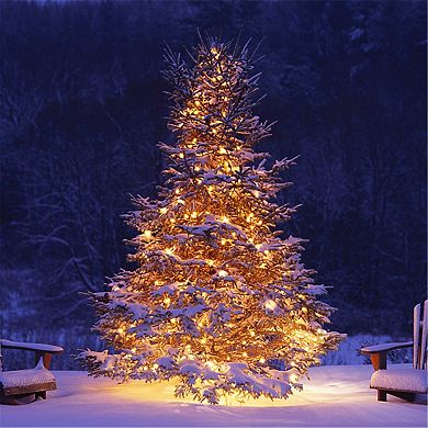 Twinkle Star 300 Led 99ft Xmas Mini String Lights