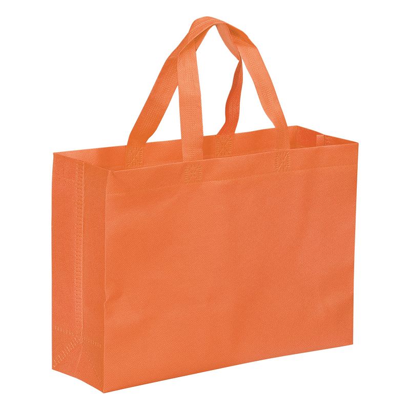 Kohl's discount shopping bag