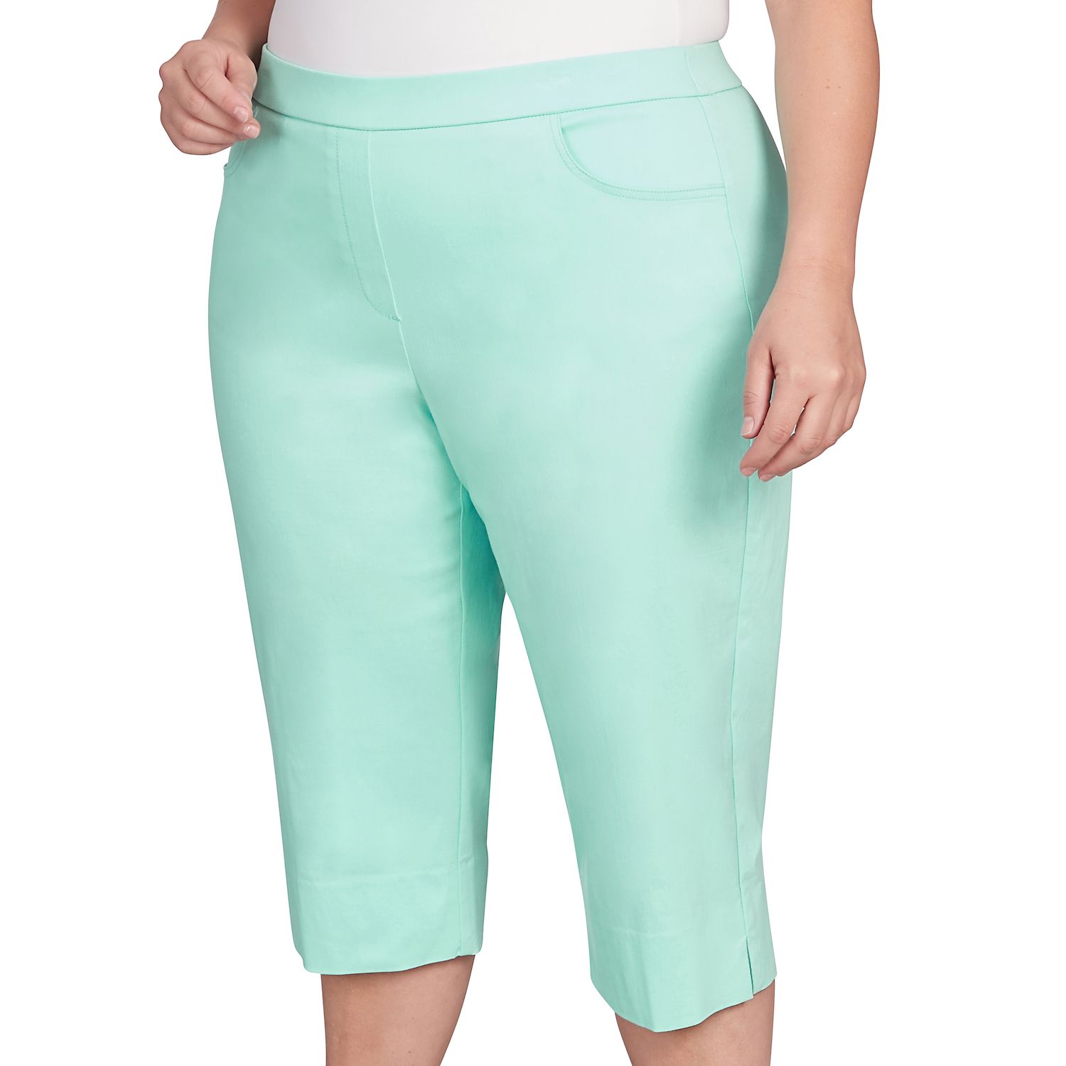 kohl's alfred dunner petite pants