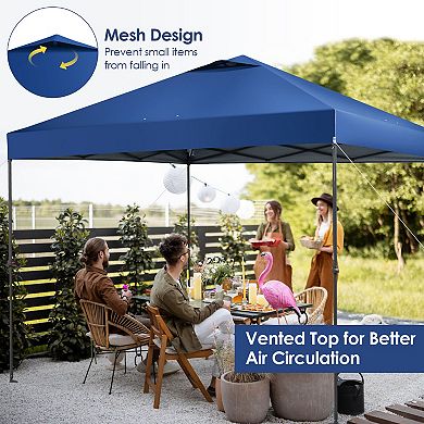 10 x 10 Feet Foldable Outdoor Instant Pop-up Canopy with Carry Bag