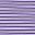 College Purple