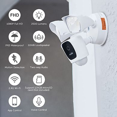 1080p HD WiFi Surveillance Floodlight Camera