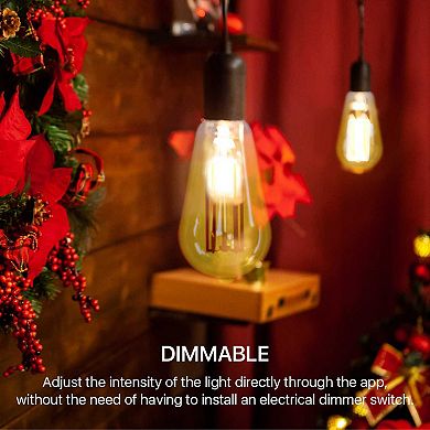 Smart WiFi Amber Filament Bulb