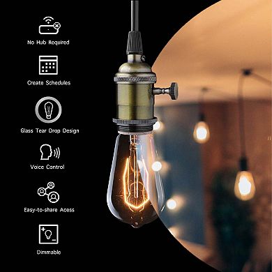 Smart WiFi Amber Filament Bulb