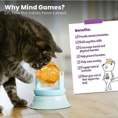 Catstages Spinning Fish Feeder Track Topper Cat Toy