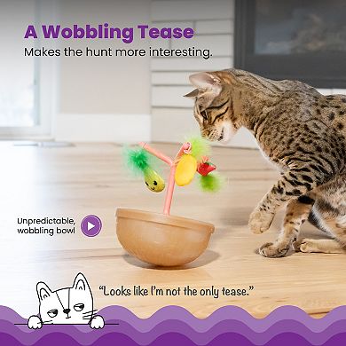 Catstages Hunt N Spin Fruit Bowl Cat Toy
