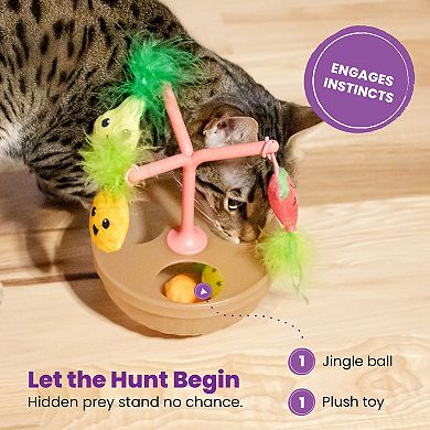 Catstages Hunt N Spin Fruit Bowl Cat Toy
