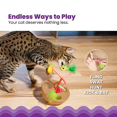 Catstages Hunt N Spin Fruit Bowl Cat Toy