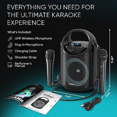 Masingo FM Tuner Karaoke Machine with 2 Microphones
