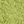 Green Essence