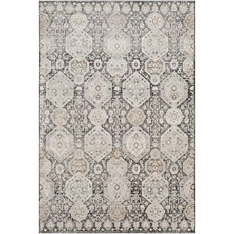 Geelbroek Traditional Area Rug