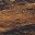 Rustic Brown