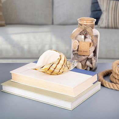 Home Essentials Glass Conch Shell Table Décor