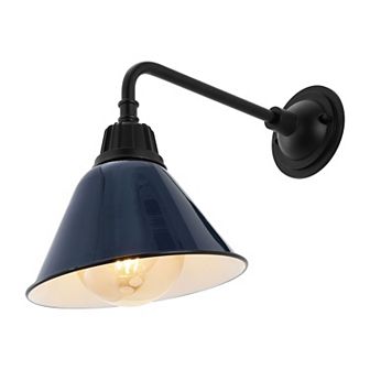 Croydon 9.63" Farmhouse Industrial Indoor/outdoor Iron Led Gooseneck Arm Outdoor Sconce