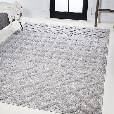 Peralta Moroccan Diamond Indoor/outdoor Area Rug