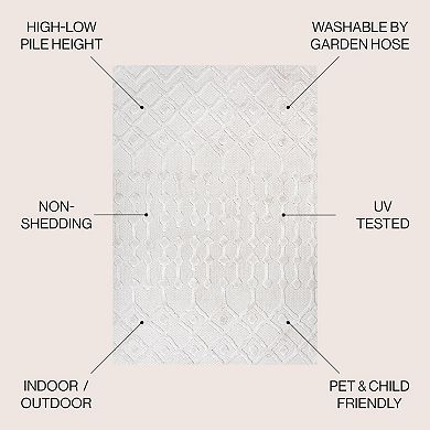Peralta Moroccan Diamond Indoor/outdoor Area Rug