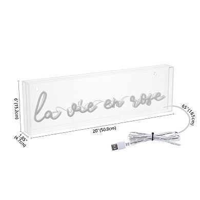 La Vie En Rose Contemporary Glam Acrylic Box USB Operated LED Neon Light