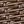 Medium Brown