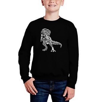 Dino Pics - Boy's Word Art Crewneck Sweatshirt