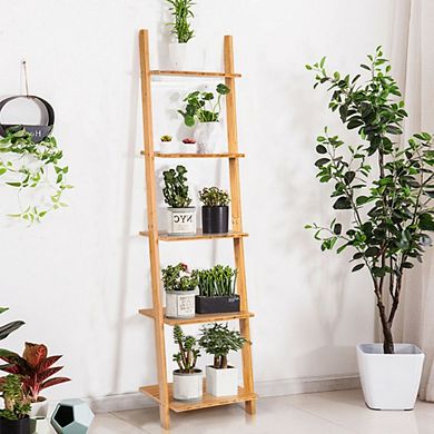 Hivvago 5-tier Modern Wall-leaning Display Ladder Bookshelf