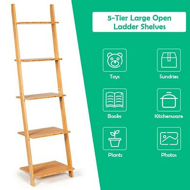 Hivvago 5-tier Modern Wall-leaning Display Ladder Bookshelf