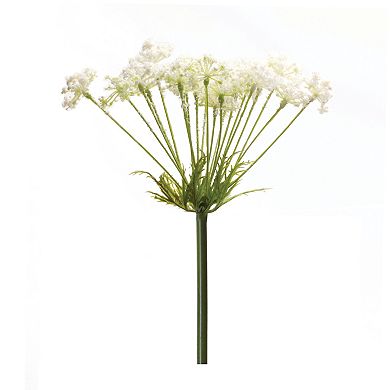 Melrose Queen Anne's Lace Stem 2 pc Set