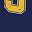 Navy Yellow