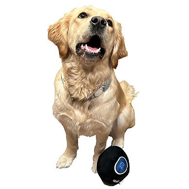 Woof Magic Paw Ball Dog Toy