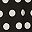 Black White Polk Dot