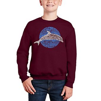 Species Of Dolphin - Boy's Word Art Crewneck Sweatshirt