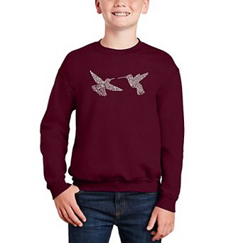 Hummingbirds - Boy's Word Art Crewneck Sweatshirt