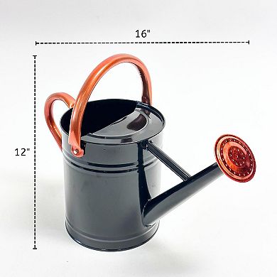 0.8 Gallon Removable Spout Watering Can