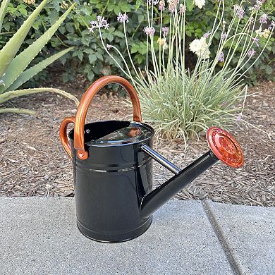 0.8 Gallon Removable Spout Watering Can