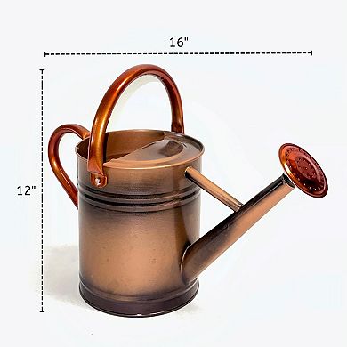 0.8 Gallon Removable Spout Watering Can