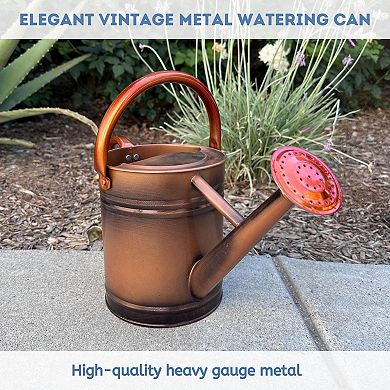 0.8 Gallon Removable Spout Watering Can