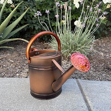 0.8 Gallon Removable Spout Watering Can