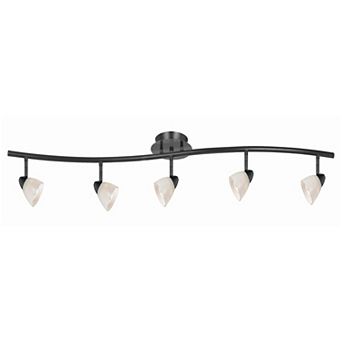 5 Light 120V Metal Track Light Fixture with Glass Shade, Black and White