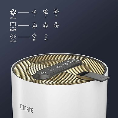 Air Purifier With True Hepa Filter