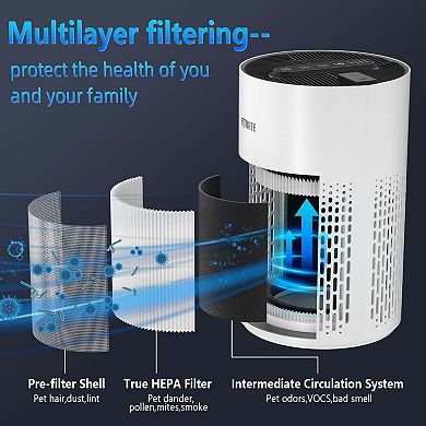Air Purifier With True Hepa Filter
