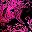 Metallic Black Fuchsia