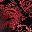 Metallic Black Red