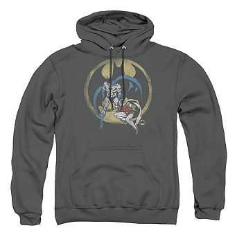 DC Comics Team Adult Pull Over Hoodie