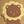 Brown Lion