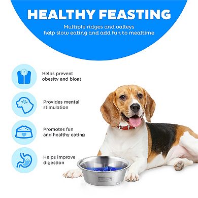 Outward Hound Stainless Steel Fun Feeder Slo Dog Bowl