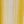 Mustard Cream