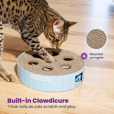 CatStages Scratch N Hunt Puzzle Cat Toy