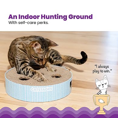 CatStages Scratch N Hunt Puzzle Cat Toy