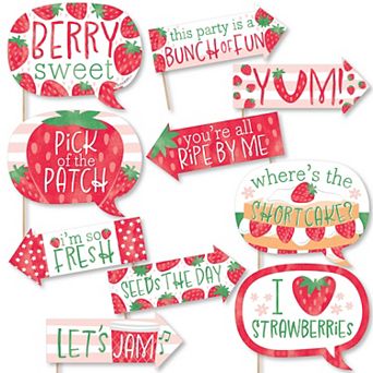Big Dot Of Happiness Funny Berry Sweet Strawberry Birthday Party Photo Booth Props 10 pc