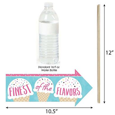 Big Dot Of Happiness Funny Scoop Up The Fun - Ice Cream - Sprinkles Photo Booth Props 10 Pc